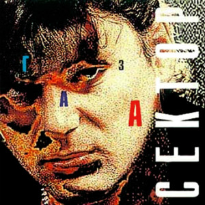 1993 - Сектор Газа
